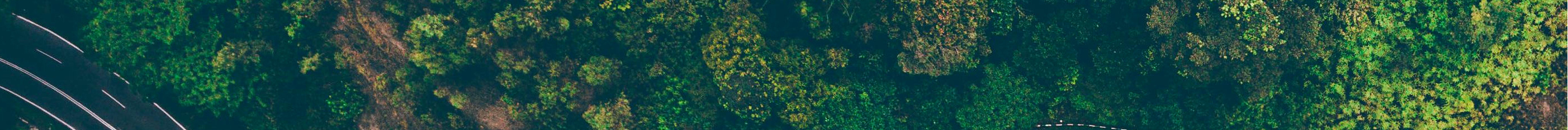 EcoRide Banner